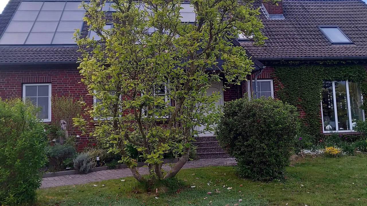Ganze Ferienwohnung, Ferienwohnung für 4 Personen (40 m²) in Hohen Sprenz in Laage, Mecklenburgische Seenplatte