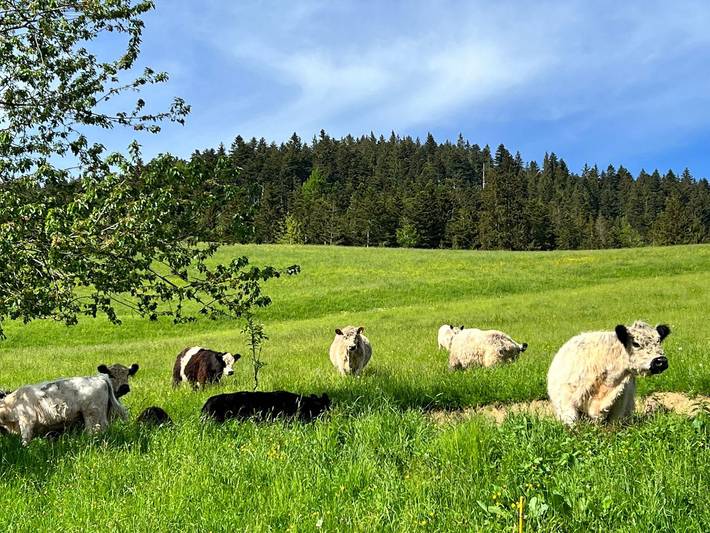 Bauernhaus für 6 Personen, mit Terrasse und Garten, kinderfreundlich in Alpenland Tegernsee Schliersee - 4