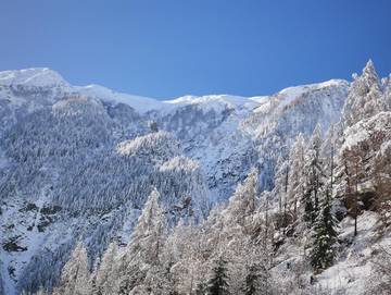 Chalet für 8 Personen in Heiligenblut, Großglockner, Bild 2