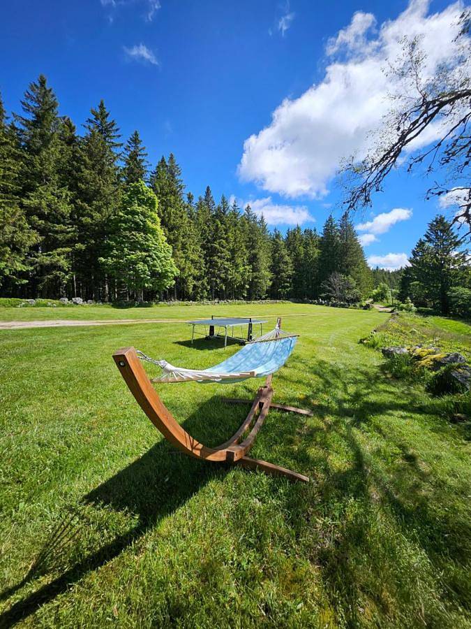 Chalet Perle des Hauts in Gérardmer, Parc naturel régional des Ballons des Vosges
