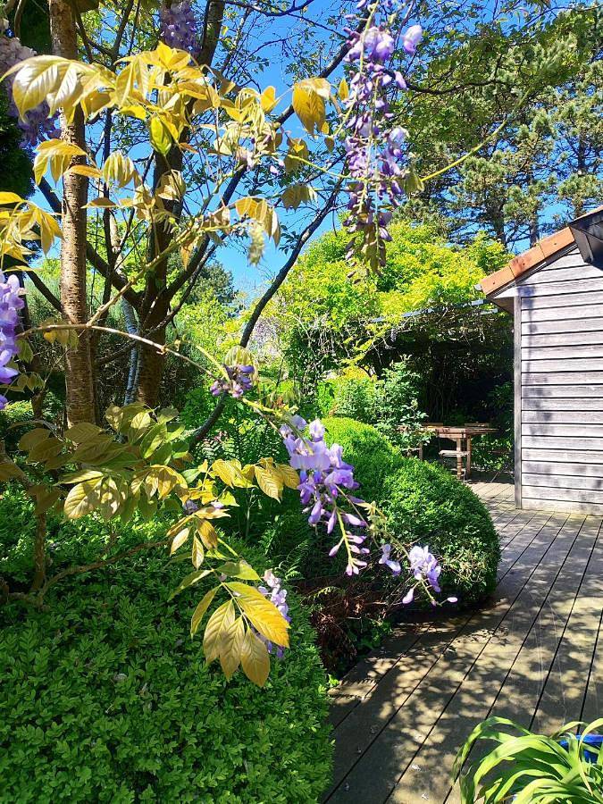 Location de vacances pour 6 personnes, avec vue et jardin dans Plage du Petit Ailly - 3