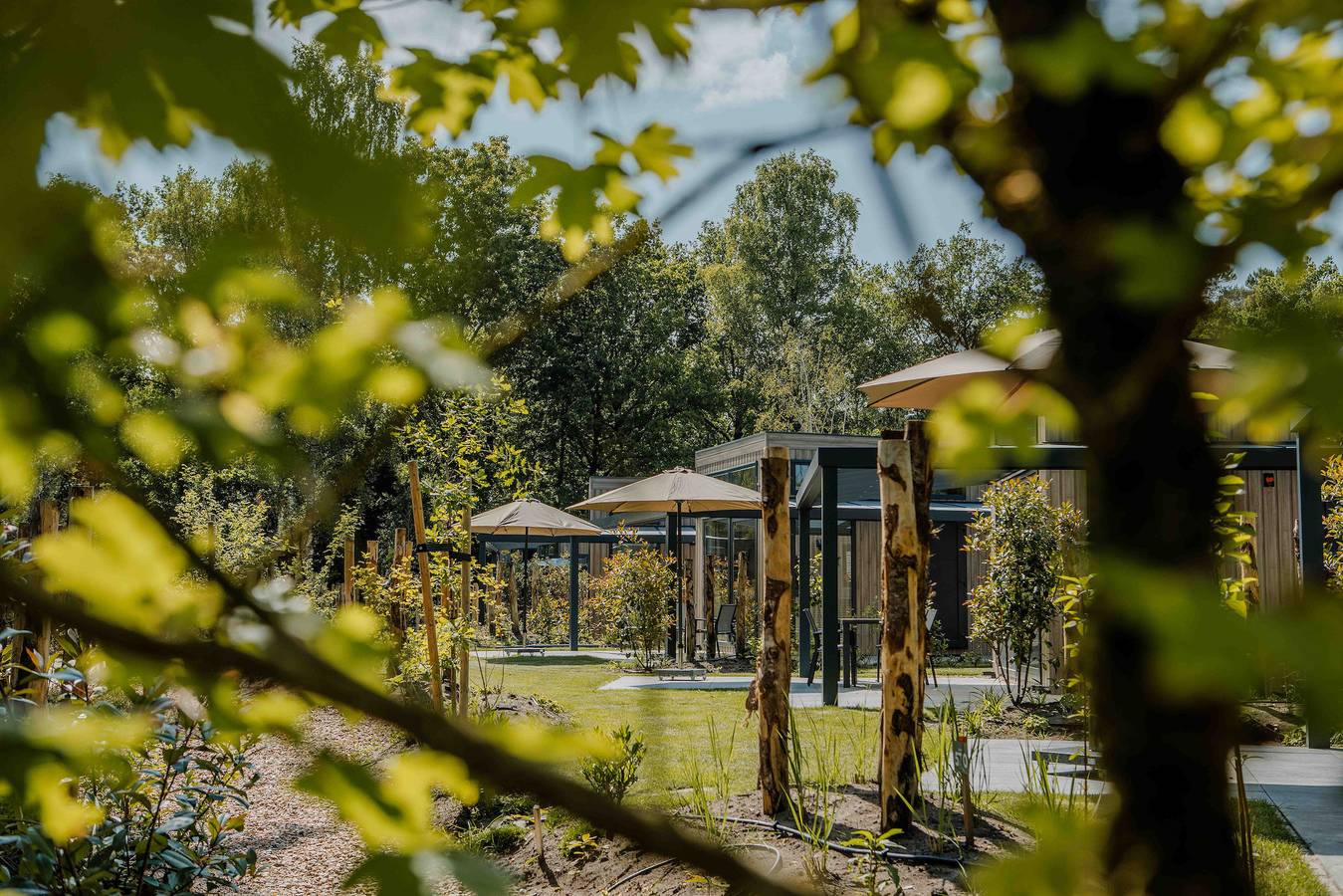 Veluwepark de Bosgraaf — Reeëndal Lodge Comfort mit Hot Tub | 4 Personen in Veluwe