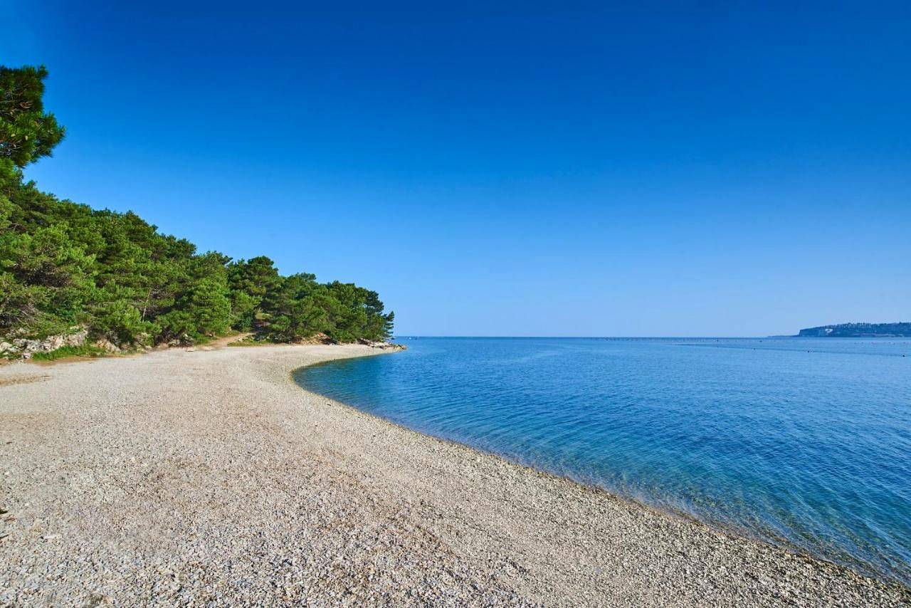 Apartments Kanegra Plava Laguna in Buje, Umag und Umgebung