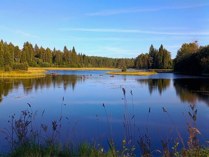 Ferienhaus für 4 Personen, mit Garten und Seeblick sowie Ausblick, mit Haustier in Dalarna - 3
