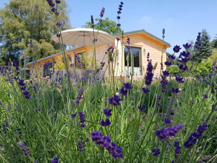 Ferienhaus für 4 Personen, mit Garten am Vogelsberg Region - 2