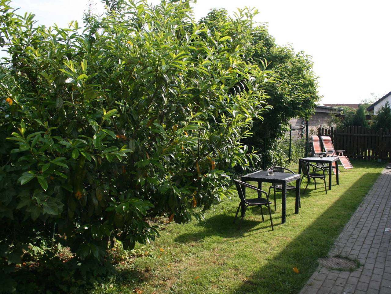 Ganze Ferienwohnung, Bei Warnemünde: Ferienwohnung Mecklenburg - Ferienwohnung klein in Warnow - West, Rostock und Umgebung