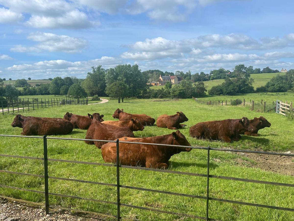 Holiday Home in Leckhampstead, Buckinghamshire