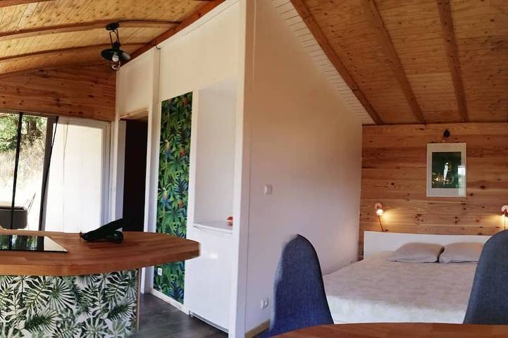 Gîte pour 5 personnes, avec terrasse et jacuzzi ainsi que piscine et jardin, animaux acceptés à Saint-Péray - 4