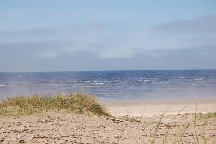 Ferienhaus für 4 Personen, mit Terrasse in Bastad - 3