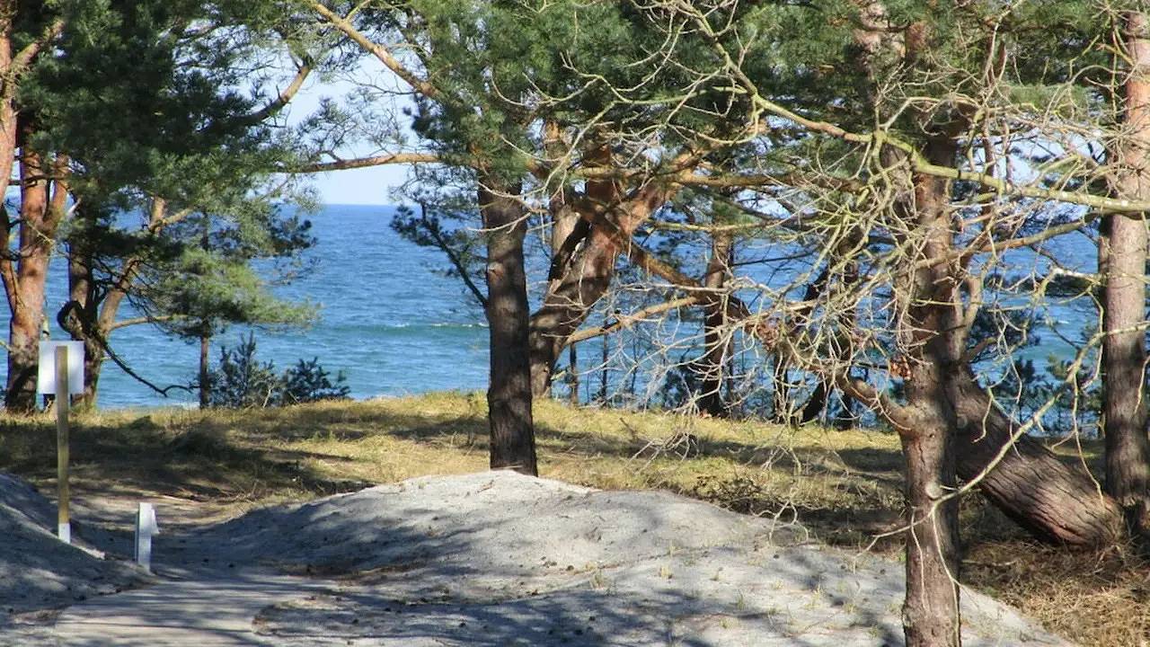 Ferienhaus für 6 Personen (67 m²) in Prora Auf Rügen in Strand Prora, Binz
