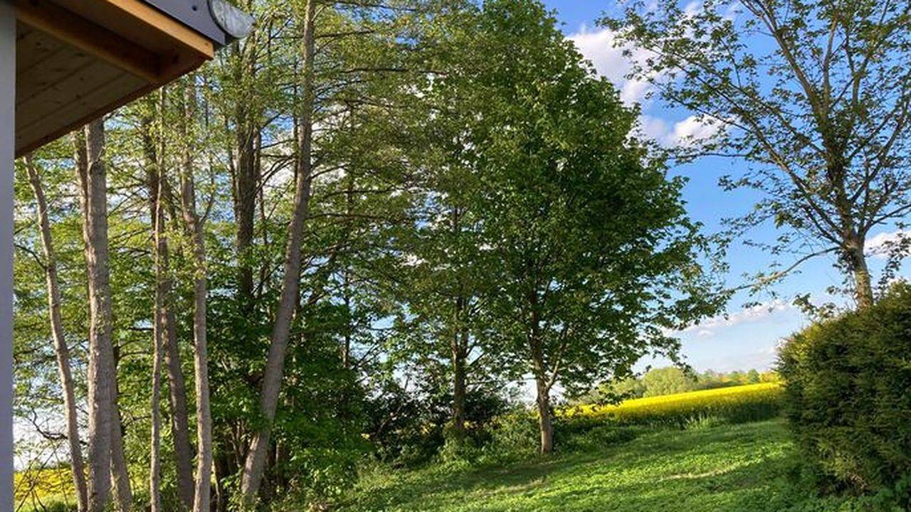 Ferienhaus für 3 Personen (50 m²) in Lalendorf in Krakow am See, Mecklenburgische Seenplatte