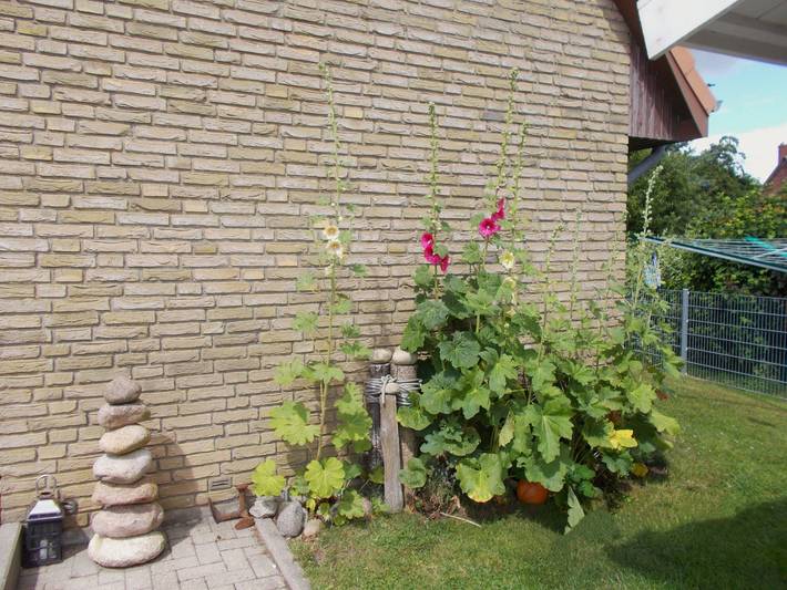 Ferienwohnung für 4 Personen, mit Terrasse und Garten in Kronsgaard - 3