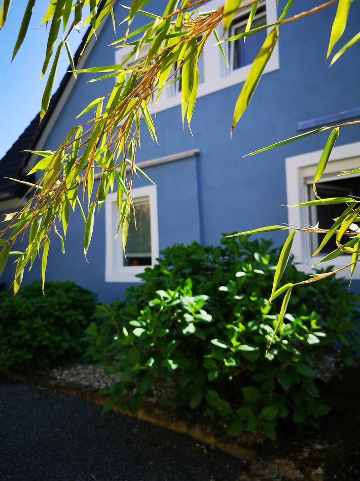 Ferienhaus für 3 Personen, mit Garten in Zeltingen-Rachtig - 2