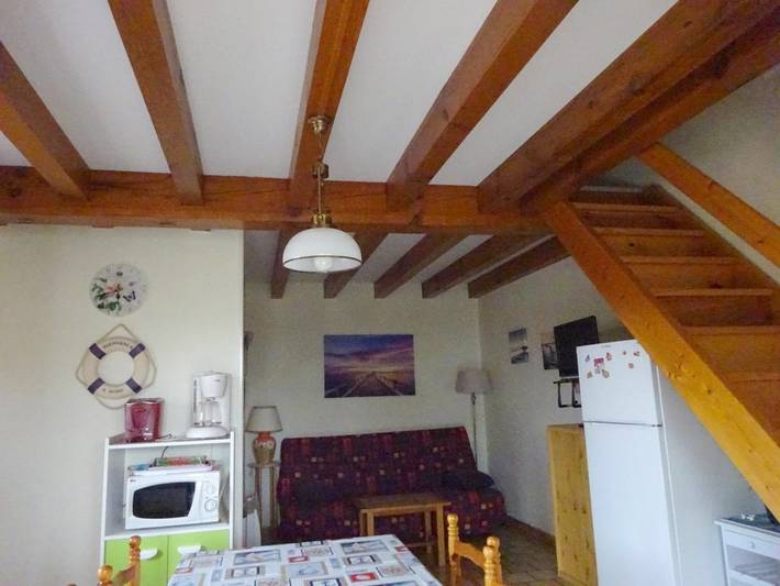 Villa pour 4 personnes, avec terrasse et jardin, animaux acceptés dans Biscarrosse Plage