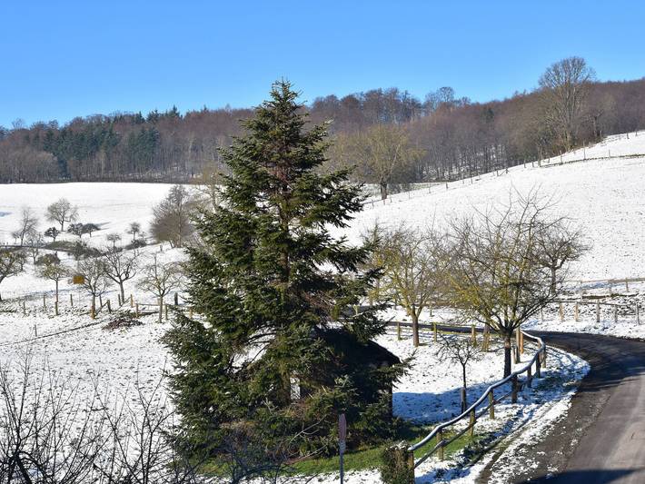 Bauernhof für 4 Personen, mit Garten in Hessen - 4