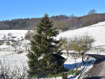 Bauernhaus für 4 Personen in Modautal, Odenwald, Bild 3