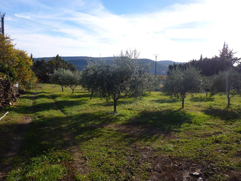 Le Laurier in Cruis, Forcalquier region