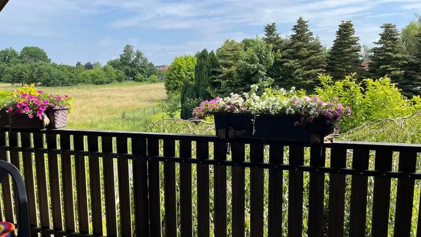 Gîte pour 3 personnes, avec jardin, animaux acceptés à Rhauderfehn - 2