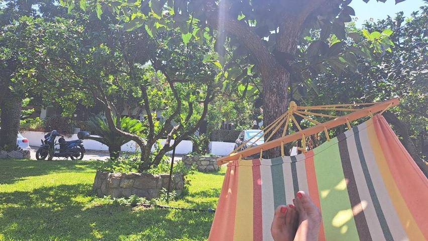 Gîte pour 2 personnes, avec vue et jardin, animaux acceptés à Tropea - 2