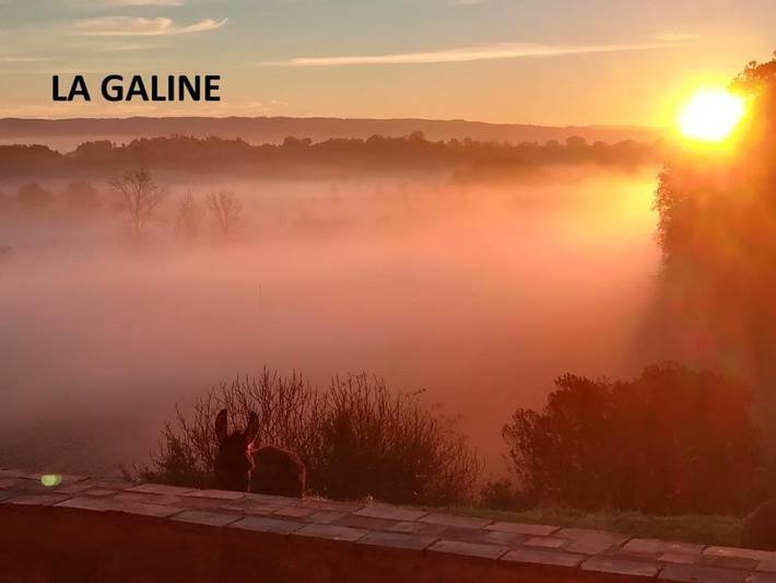 Location de vacances pour 6 personnes, avec Terrasse ainsi que Jardin et Vue à Castres - 2