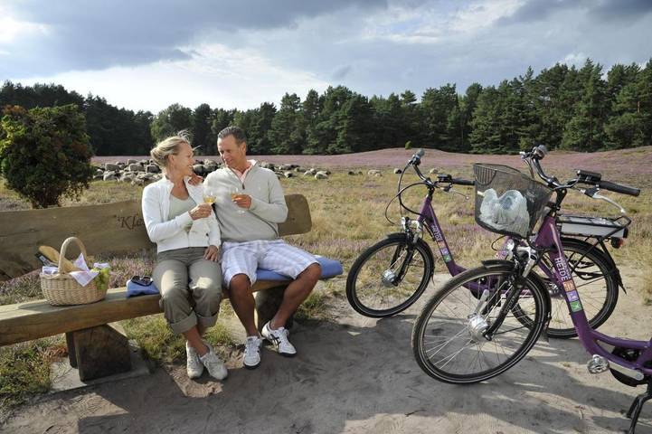 Camping für 6 Personen, mit Garten in der Lüneburger Heide - 3