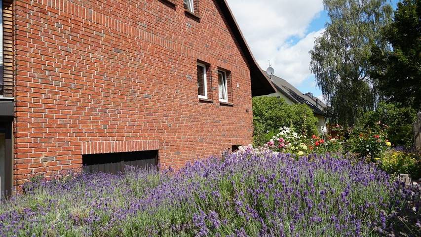 Ferienwohnung für 2 Personen, mit Garten im Barnimer Land - 4