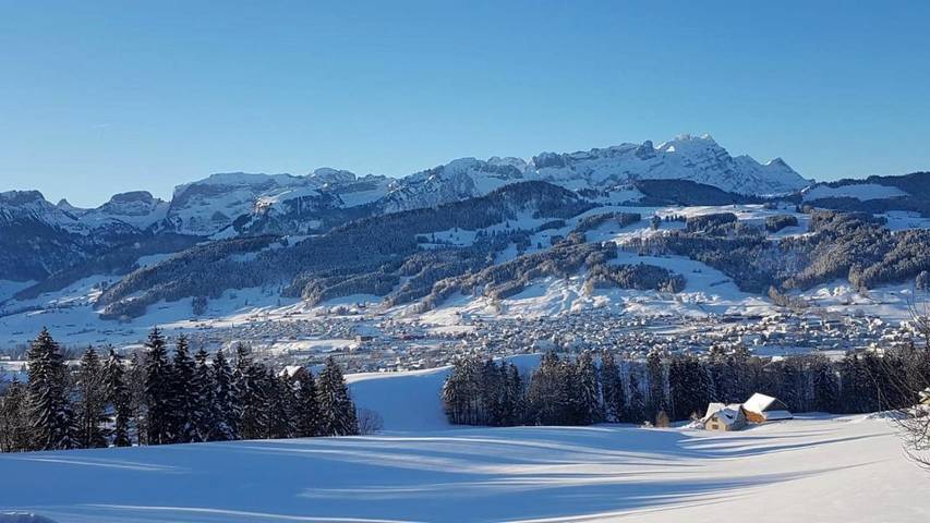 Gîte pour 3 personnes, avec jardin ainsi que terrasse et vue à Appenzell - 3