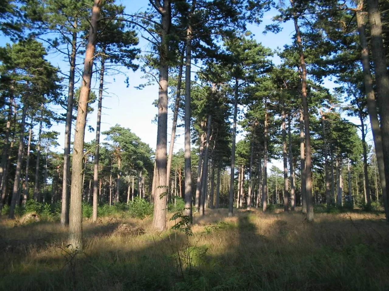 Maison de vacances pour 11 a Væggerløse-By Traum in Væggerløse, Mer Baltique suédoise