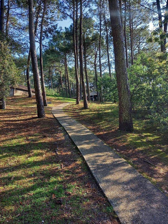 Entire apartment, La Cabane de Dadou Lacanau in Lacanau Ocean, Lacanau