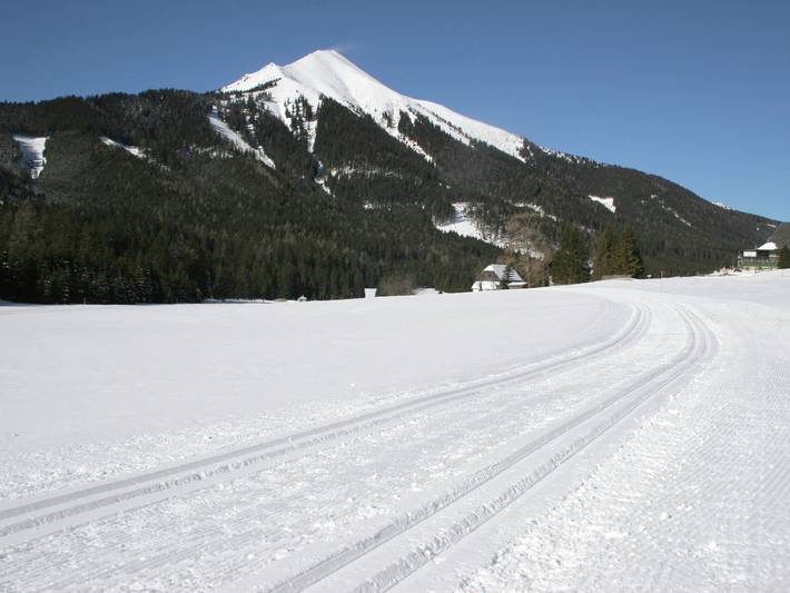 Chalet für 6 Personen, mit Sauna und Terrasse, kinderfreundlich in Österreich - 3