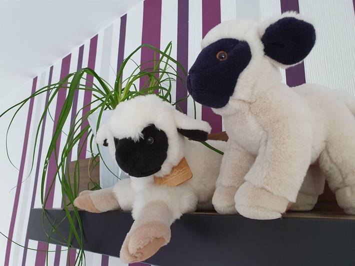 Ferienhaus für 2 Personen, mit Garten und Balkon, kinderfreundlich in Rhön-Hessen - 4