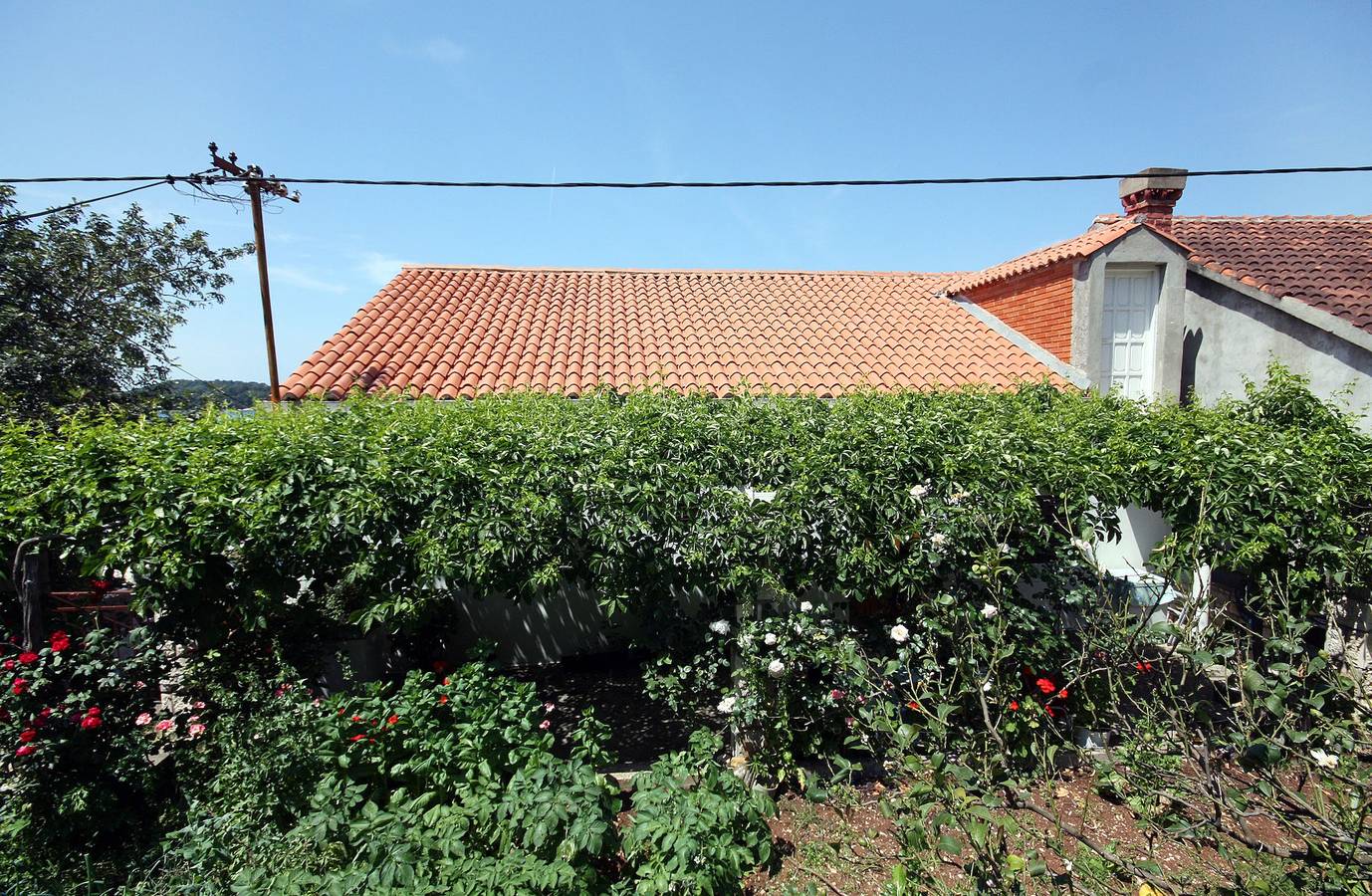 Zimmer mit Terrasse und Meerblick Pomena, Mljet S-4929-b in Pomena, Mljet