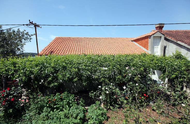 Zimmer mit Terrasse und Meerblick Pomena, Mljet S-4929-a in Pomena, Mljet