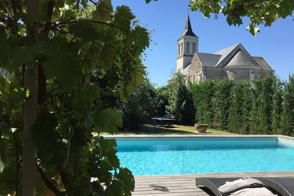 En bord de Loire entre vignes et chateaux . in Loire-Authion, Vallée de la Loire