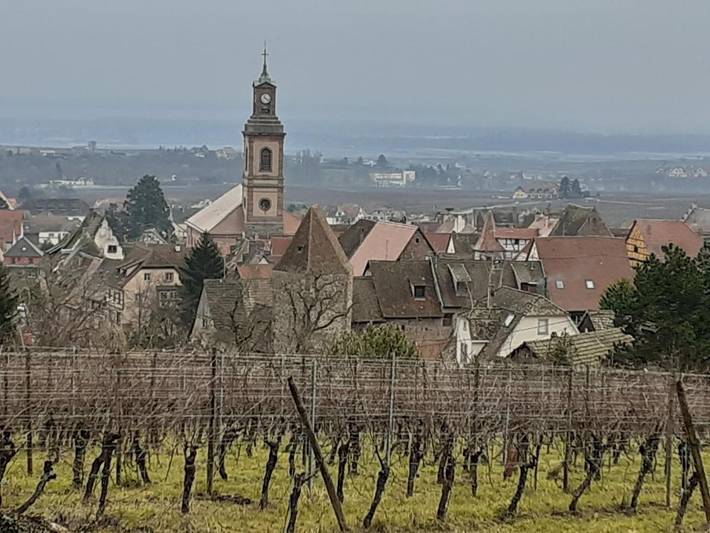 Location de vacances pour 2 personnes, avec vue à Riquewihr - 2
