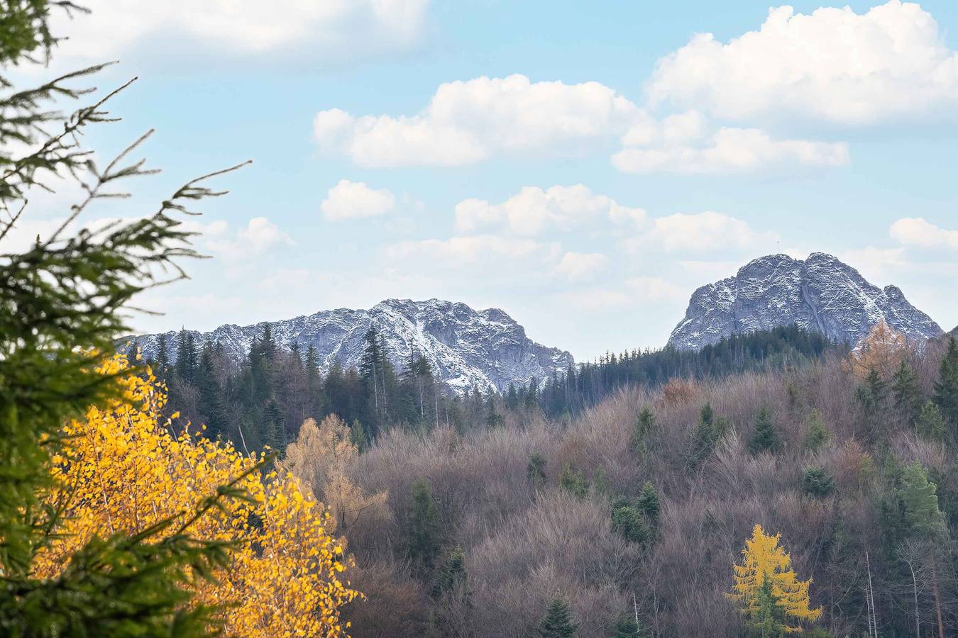 Entire apartment, Krzeptówki 135 Zakopane | Stylish Apartment | Parking in Zakopane, Carpathians (Poland)