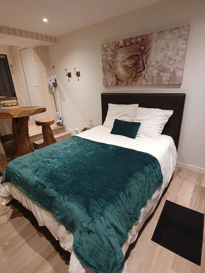 Appartement entier, One-Bedroom Apartment in Lannion, Ceinture Dorée