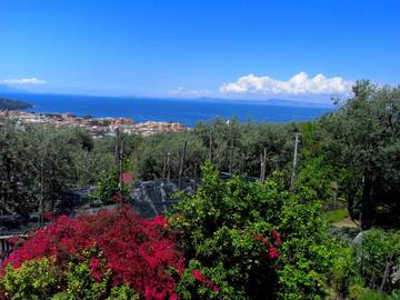 Villa per 4 Persone in Sorrento, Costa tirrenica Campania, Foto 1