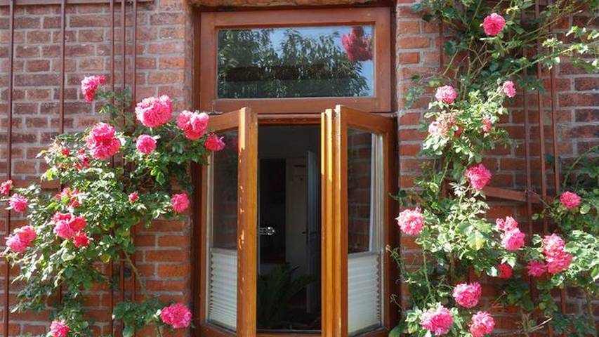 Ferienhaus für 4 Personen, mit Terrasse und Garten in Emden - 4