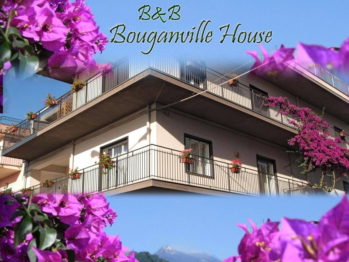 Double Room with Private Bathroom in Zafferana Etnea, Etna