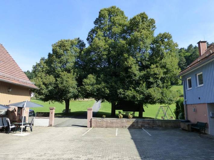 Ferienwohnung für 2 Personen, mit Garten in Mossautal - 3