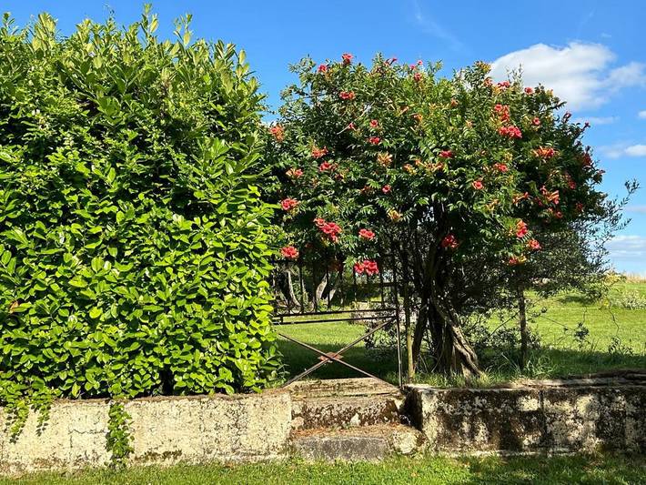 Gîte pour 4 personnes, avec piscine ainsi que vue et jardin à Crastes - 4