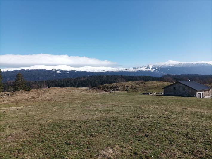 Gîte pour 10 personnes, avec terrasse dans Parc naturel régional du Haut-Jura - 3