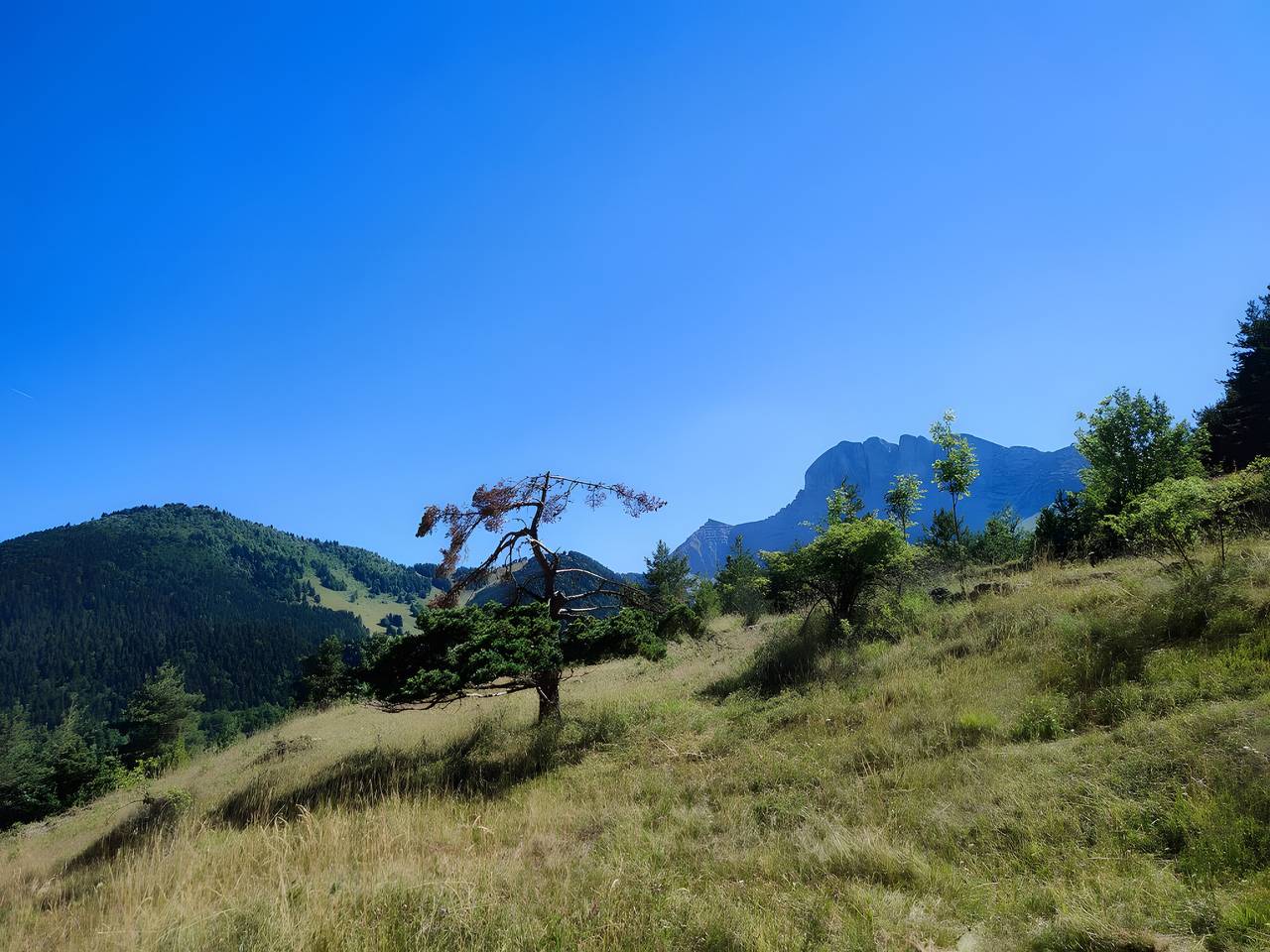 Geheel appartement, Appartement 'La Canopée - Uitzicht op Grand Veymont' met uitzicht op de bergen en privéterras in Gresse-en-Vercors, Parc naturel régional du Vercors
