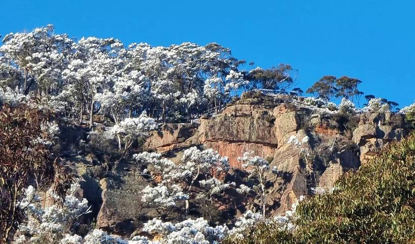 Cottage for 5 people, with balcony and garden, with pets in Blue Mountains