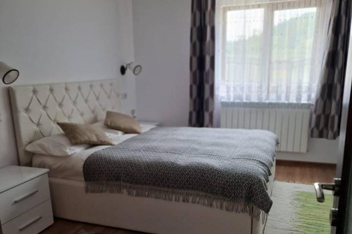 Location de vacances pour 10 personnes, avec terrasse ainsi que jardin et jacuzzi, animaux acceptés en Roumanie - 3