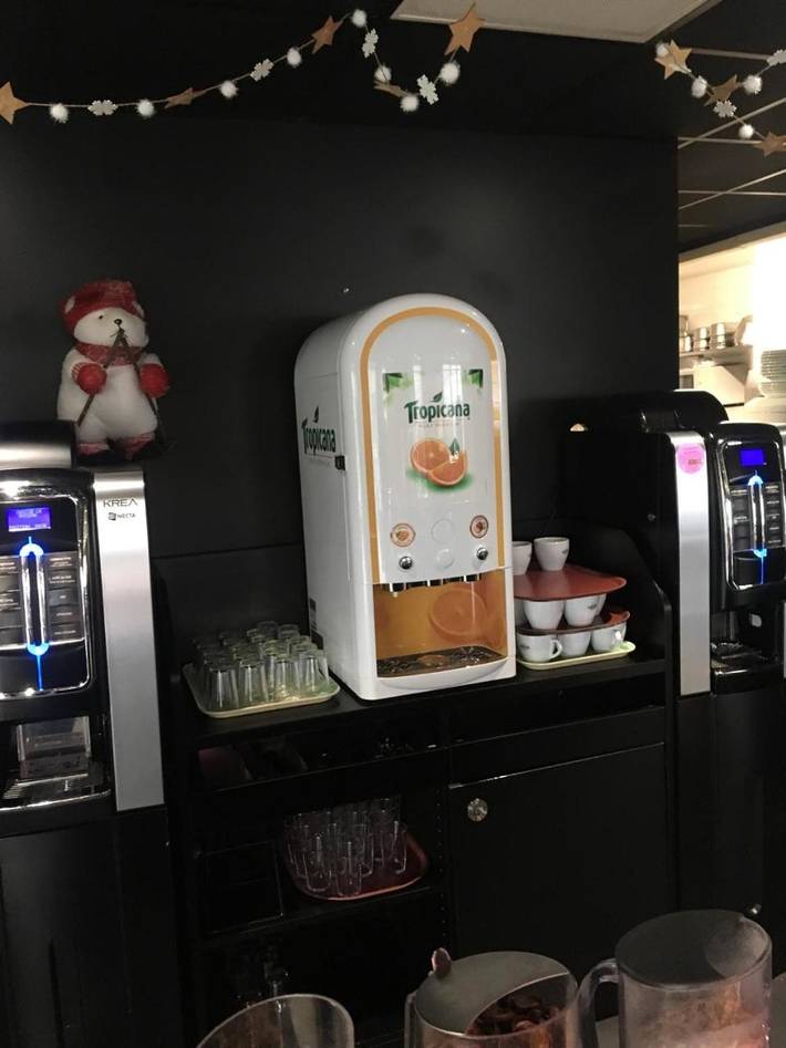 Hôtel pour 2 personnes, avec jardin, animaux acceptés à Agen - 4