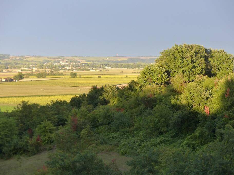 Gite Chez Rosalie in Grazac, Lauragais