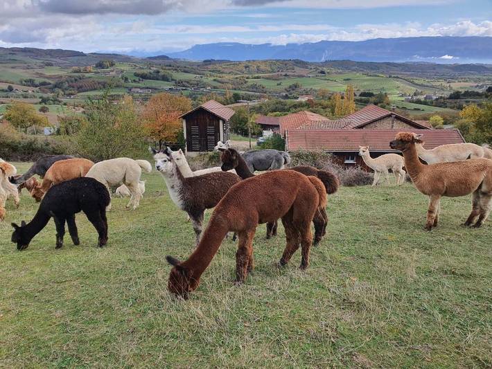 Location de vacances pour 2 personnes, avec vue et terrasse, adapté aux familles à Saint-Antoine-l'Abbaye - 2