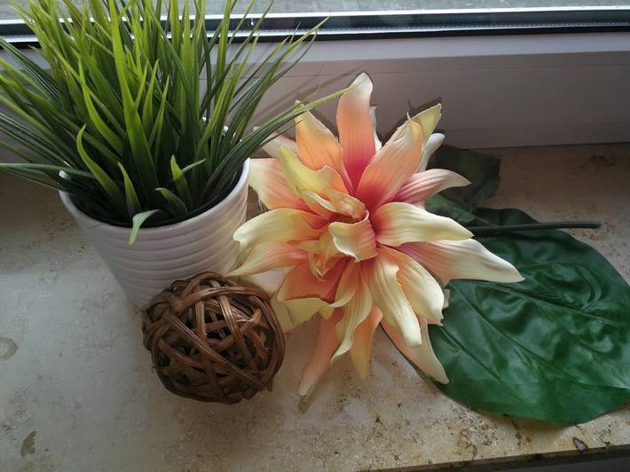 Ferienwohnung für 5 Personen, mit Garten in Hayingen